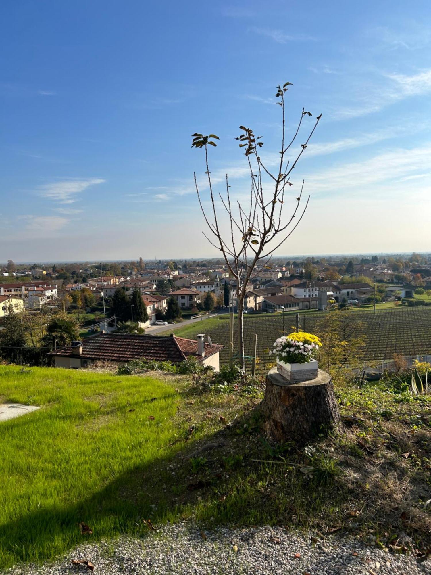 San Martino  B&B San Martino المظهر الخارجي الصورة